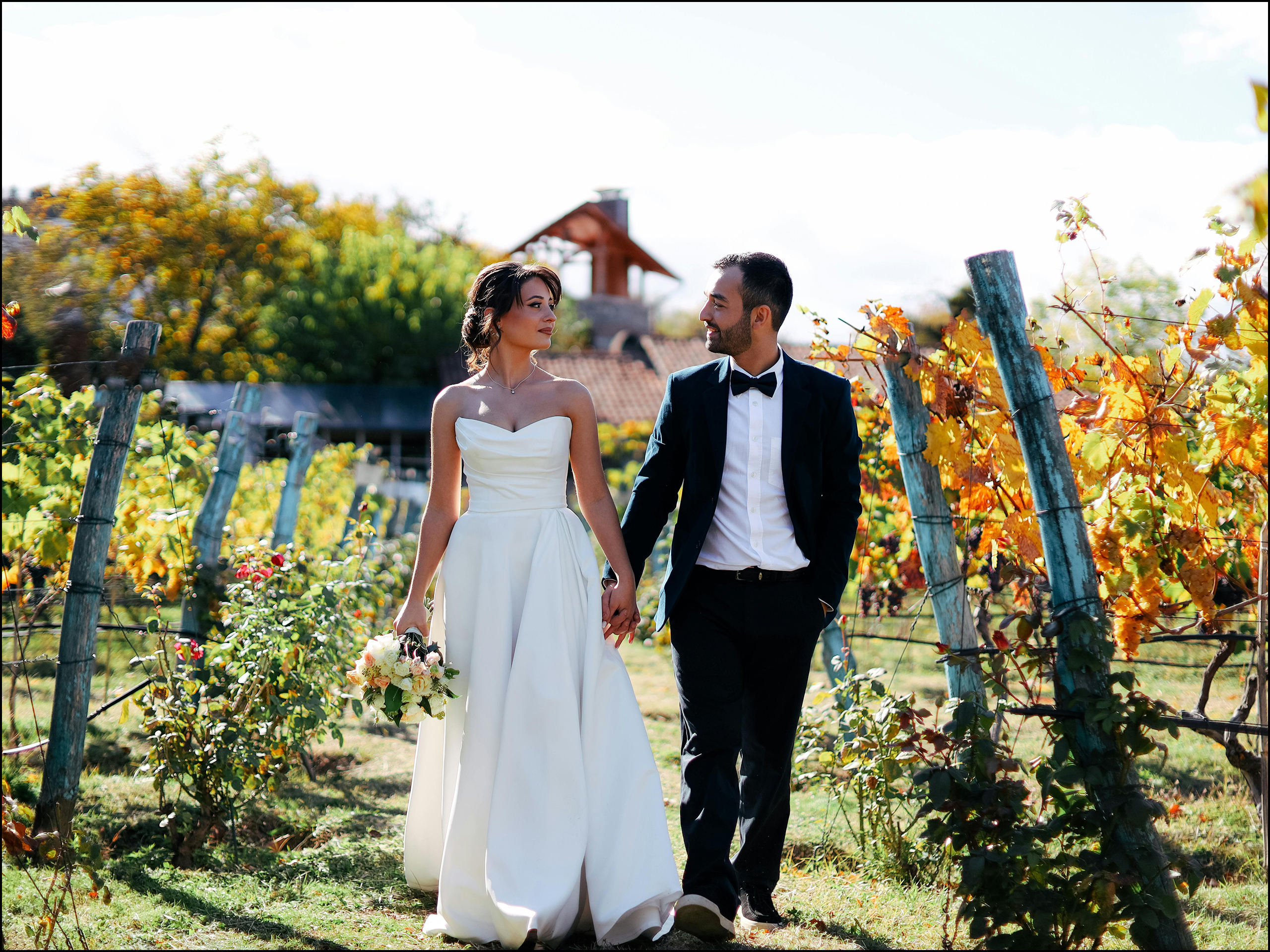A newlywed couple walks hand in hand through a sunlit vineyard. The bride wears a strapless white gown and holds a bouquet, while the groom wears a black tuxedo. Golden vines and a rustic house are in the background.